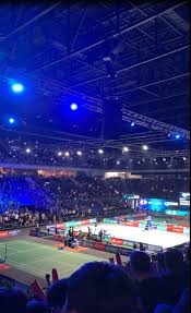 解锁新的冠军版图 樊振东率队登顶德国杯 连胜4盘当选MVP